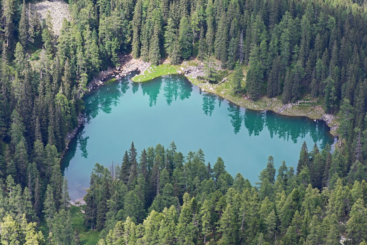 lake bergsee forest free photo