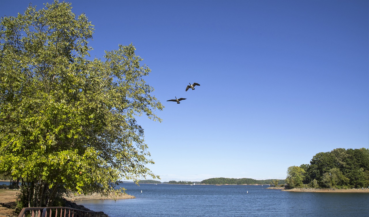 lake landscape sky free photo