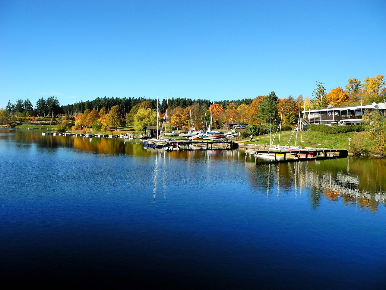 lake nature water free photo