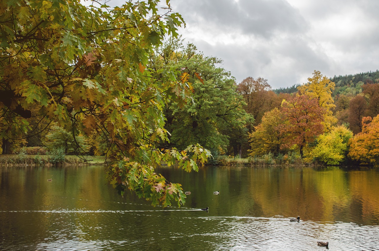 lake autumn park free photo