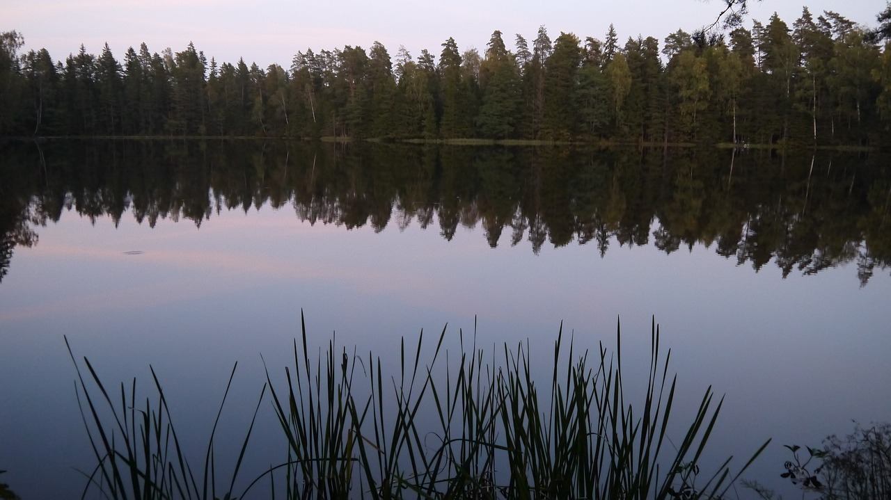 lake evening water free photo