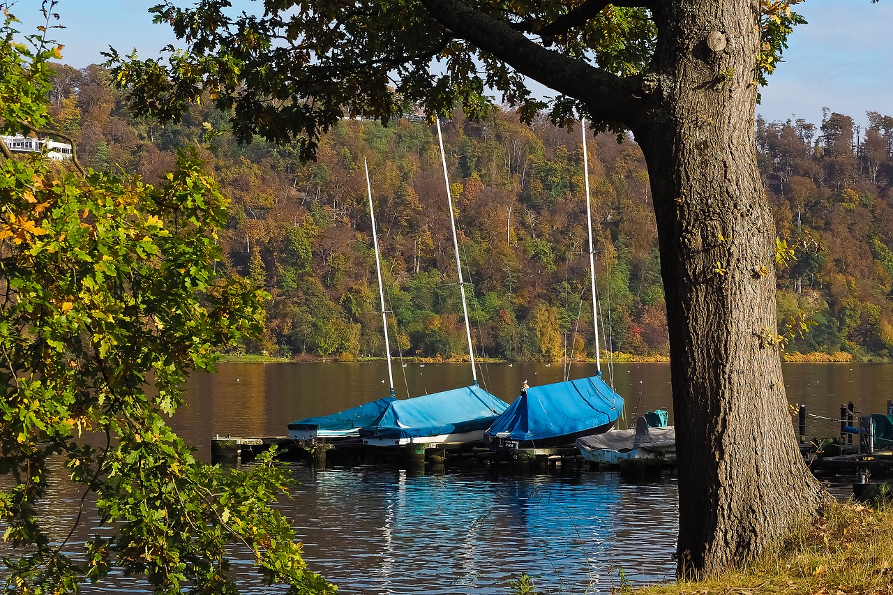 lake autumn nature free photo