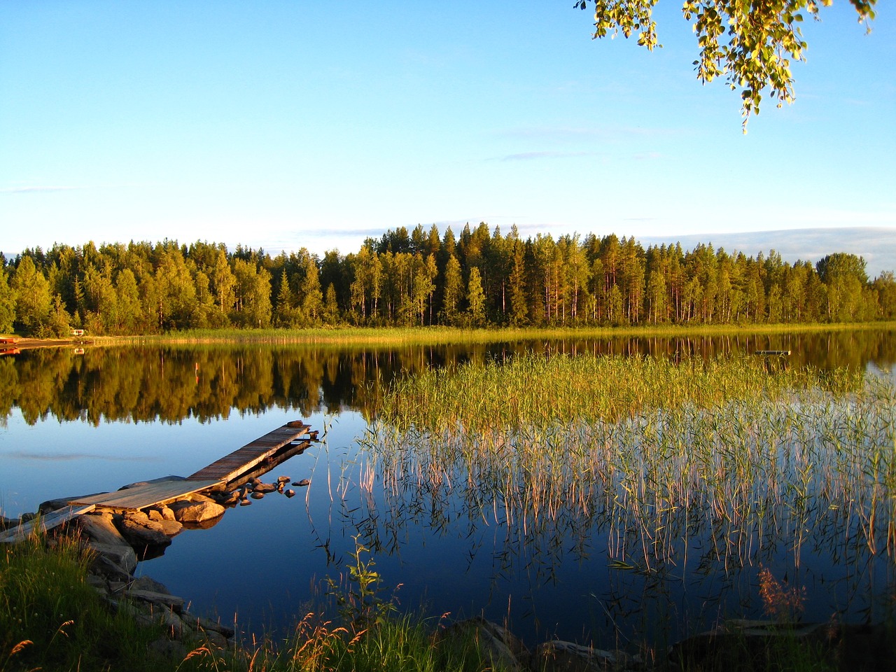 lake summer blue free photo