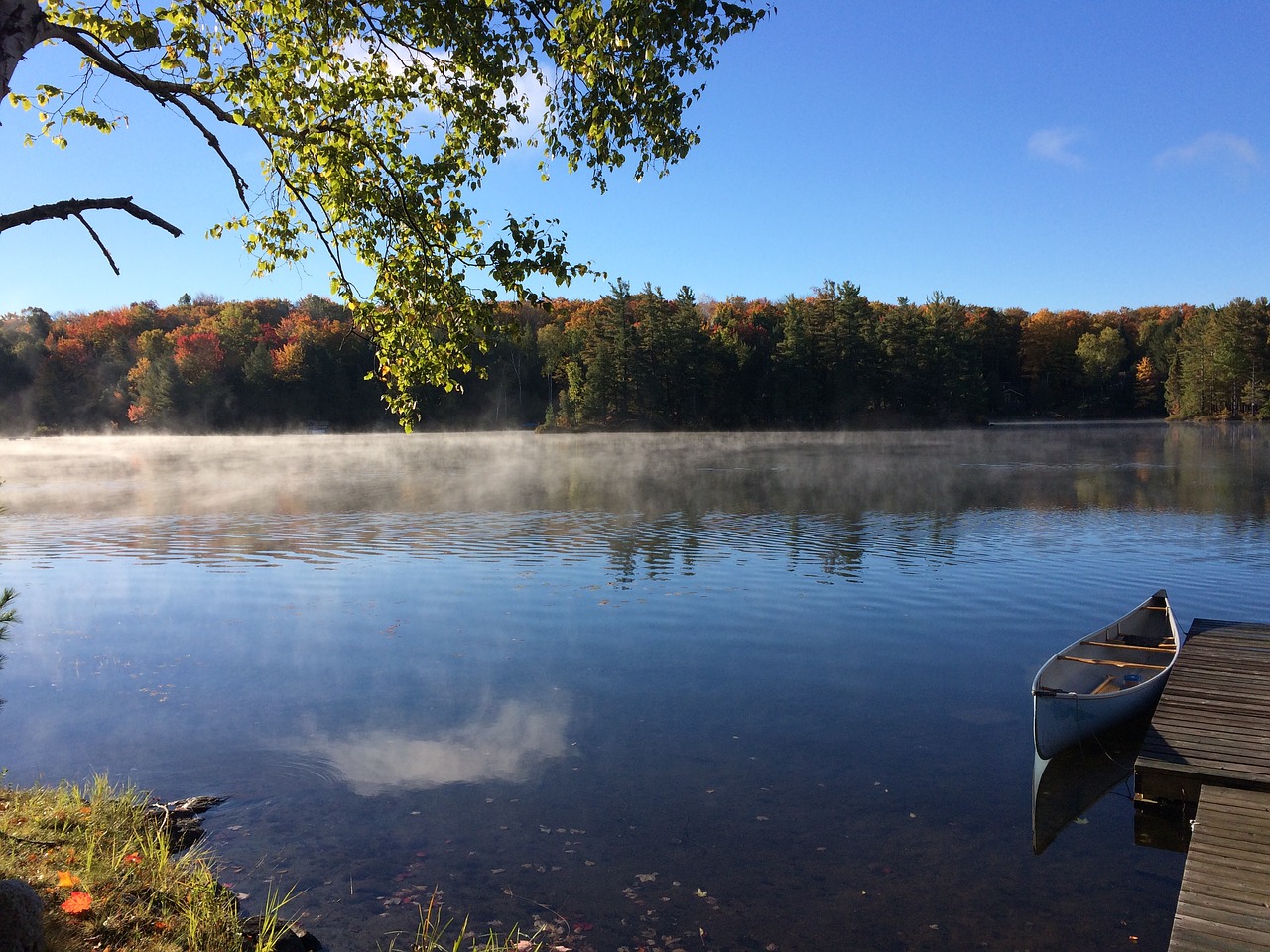 lake mist ontario free photo