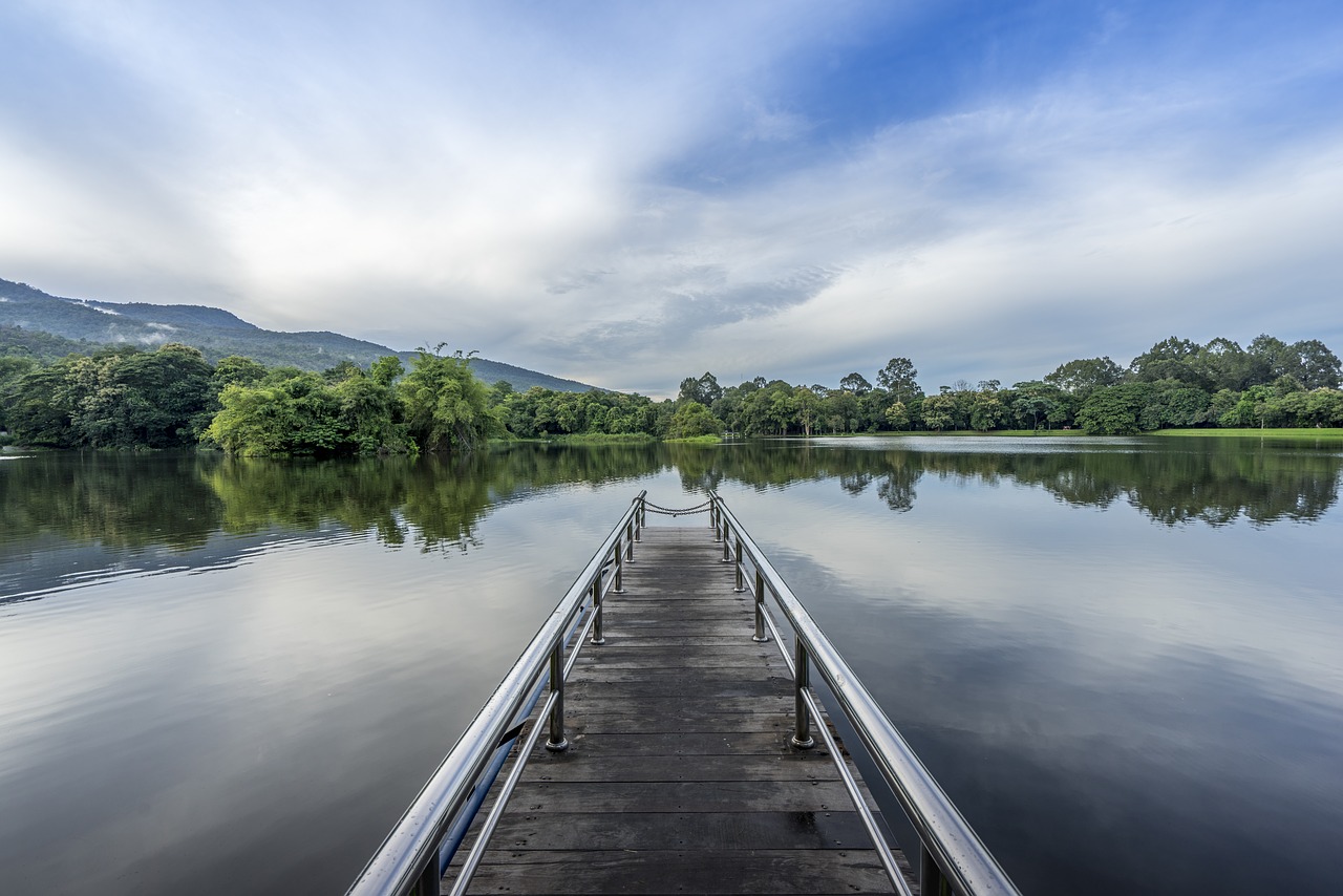 lake bridge path free photo