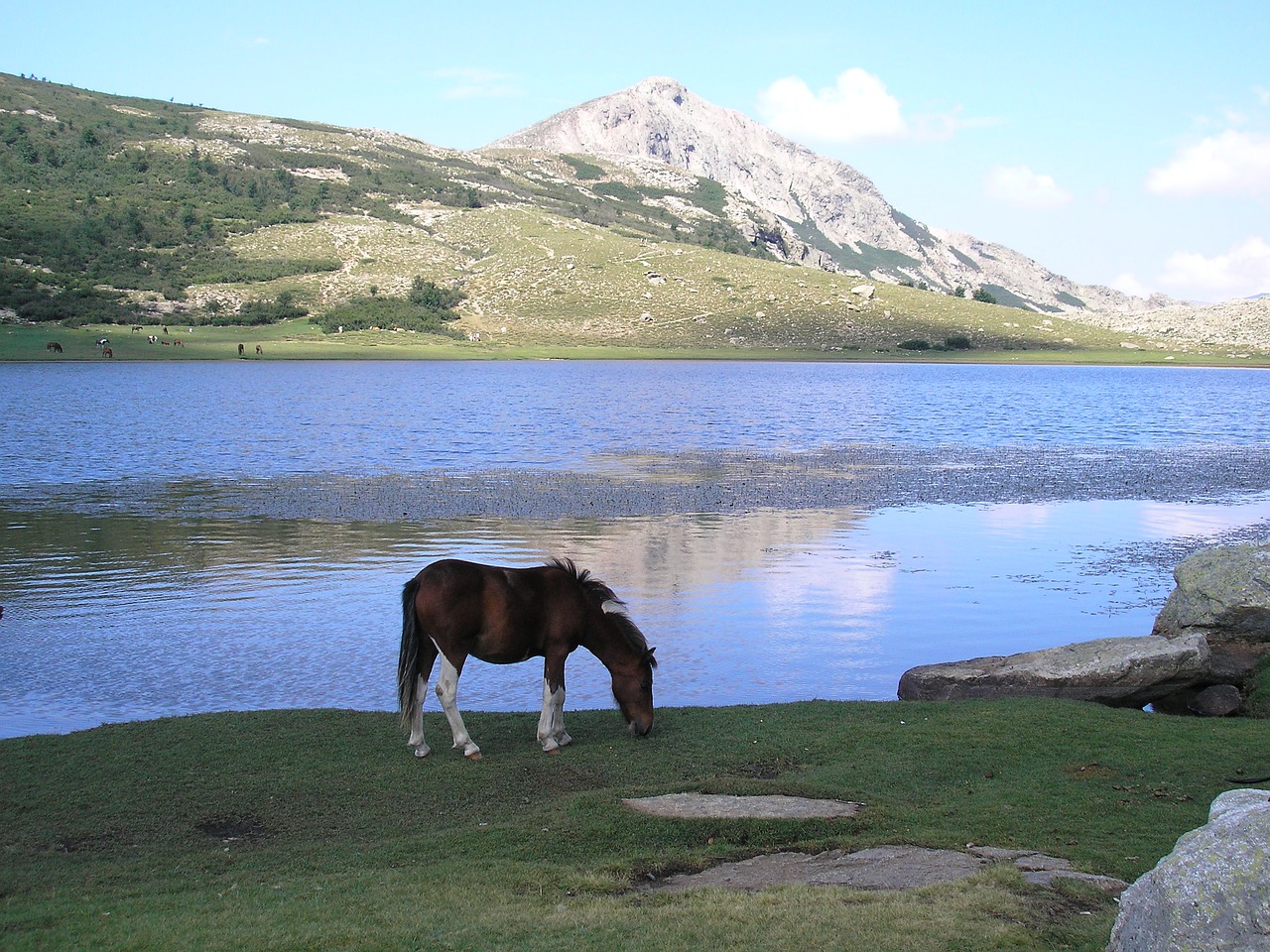 lake corsican mountain free photo