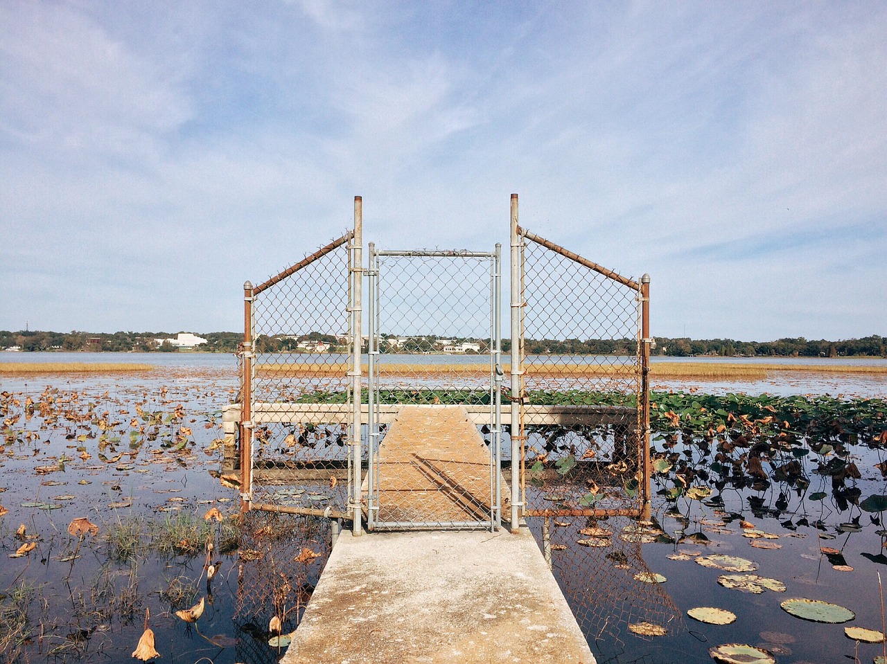 lake dock fence free photo