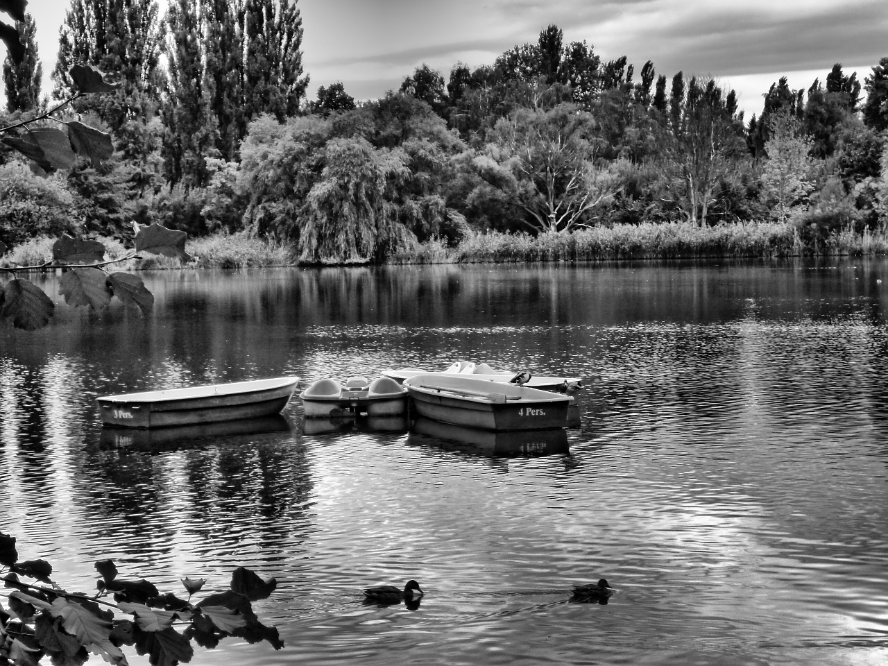 lake boats rest free photo