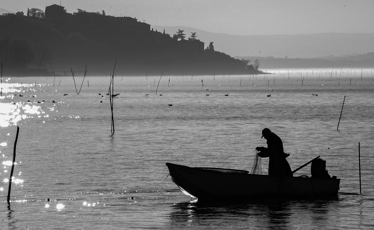 lake fisherman rowing boat free photo