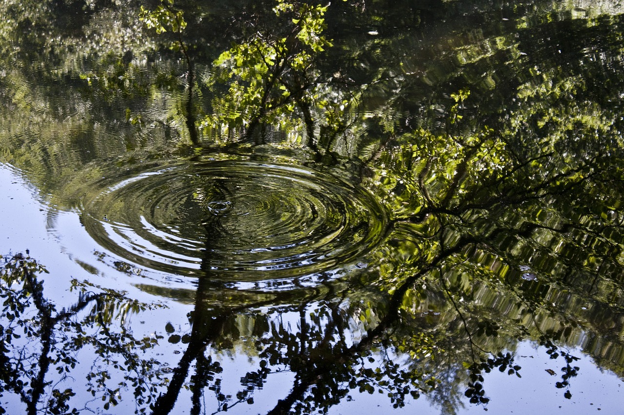 lake reflection wave free photo