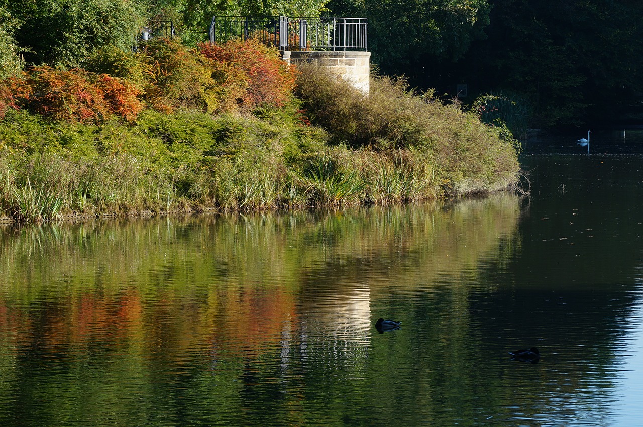 lake mirroring autumn free photo