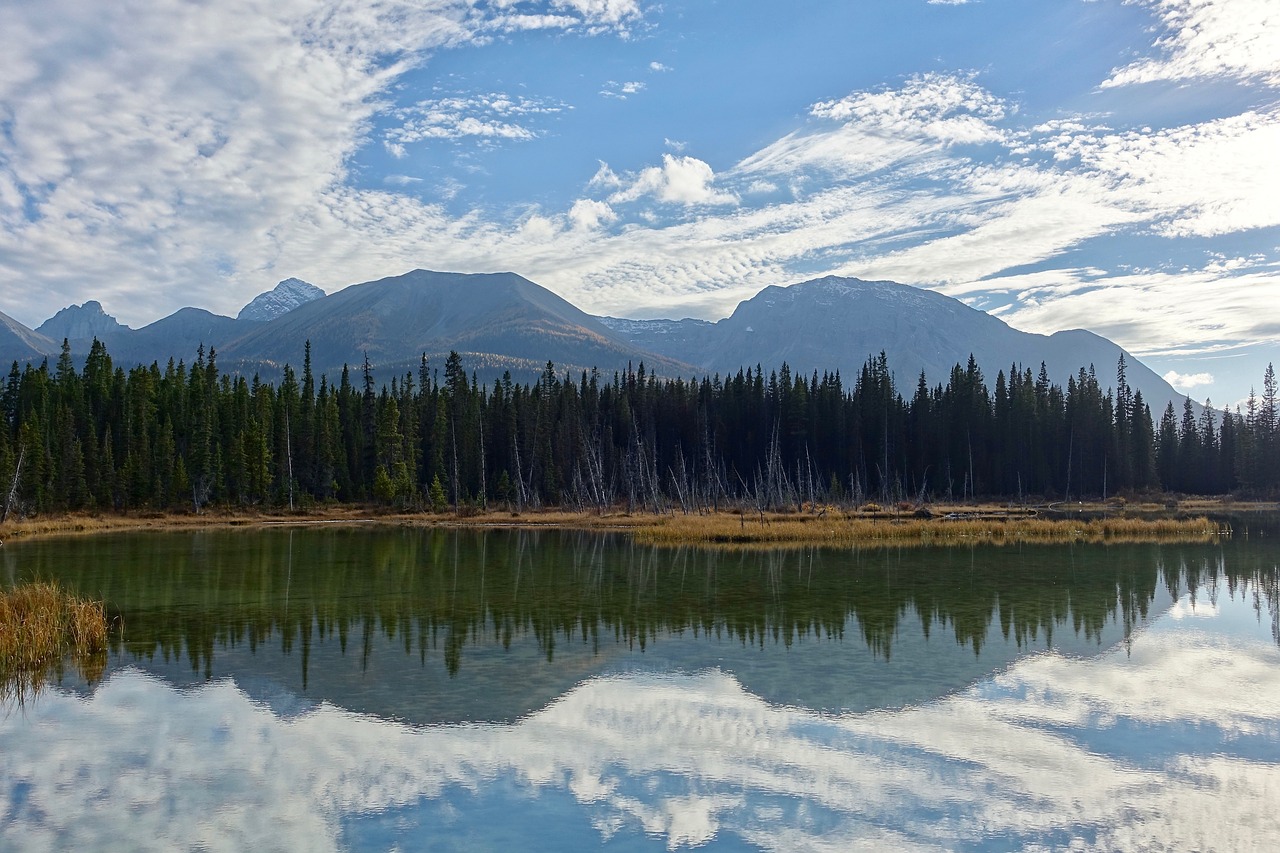 lake reflection wilderness free photo