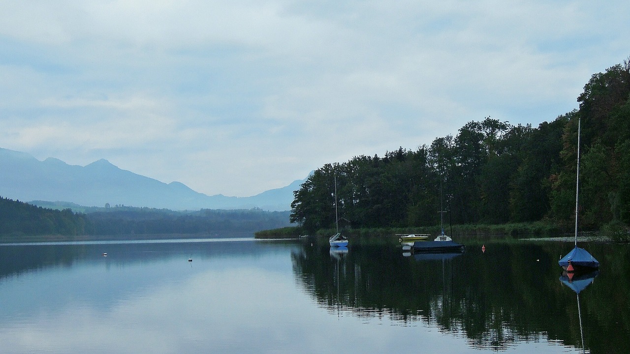 lake morning still free photo