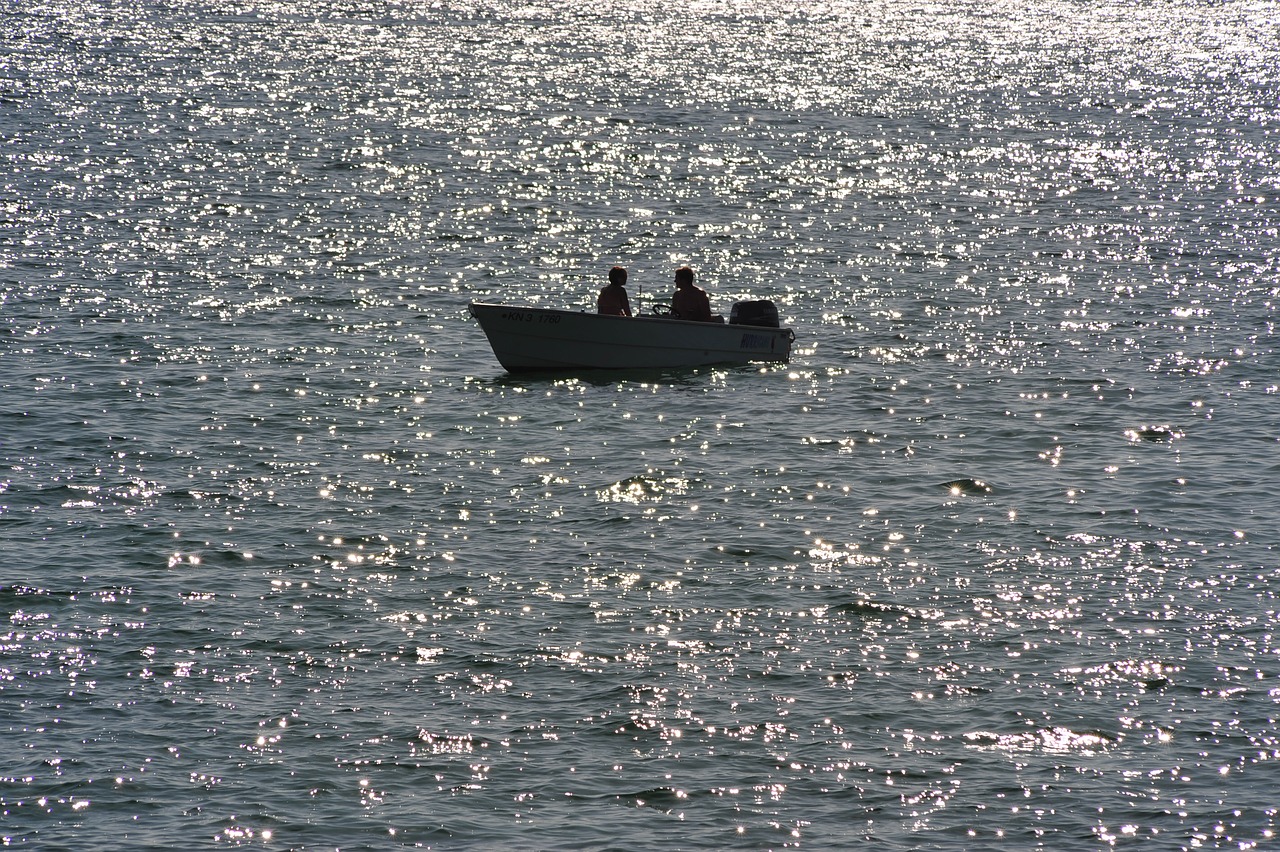 lake evening alone free photo