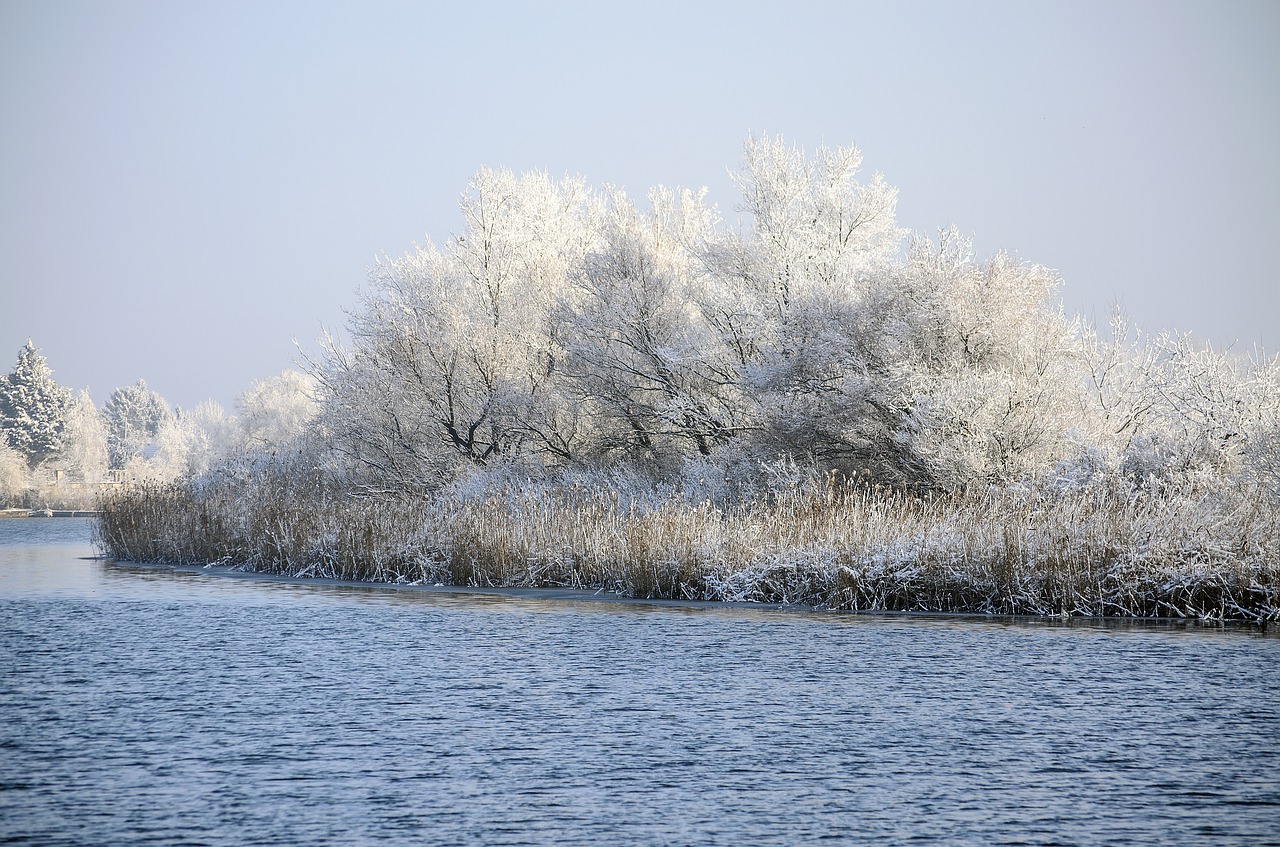 lake winter frost free photo