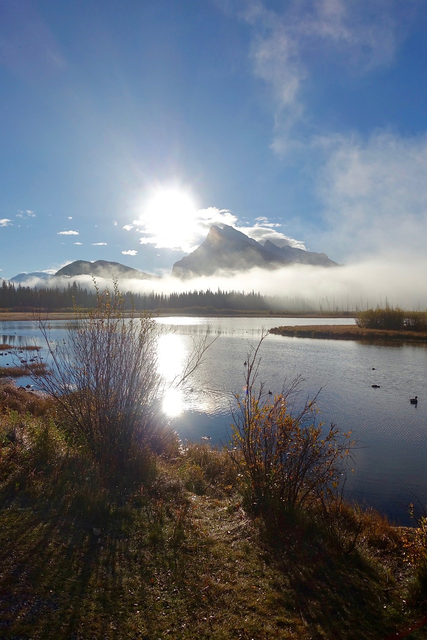 lake mist sunlight free photo