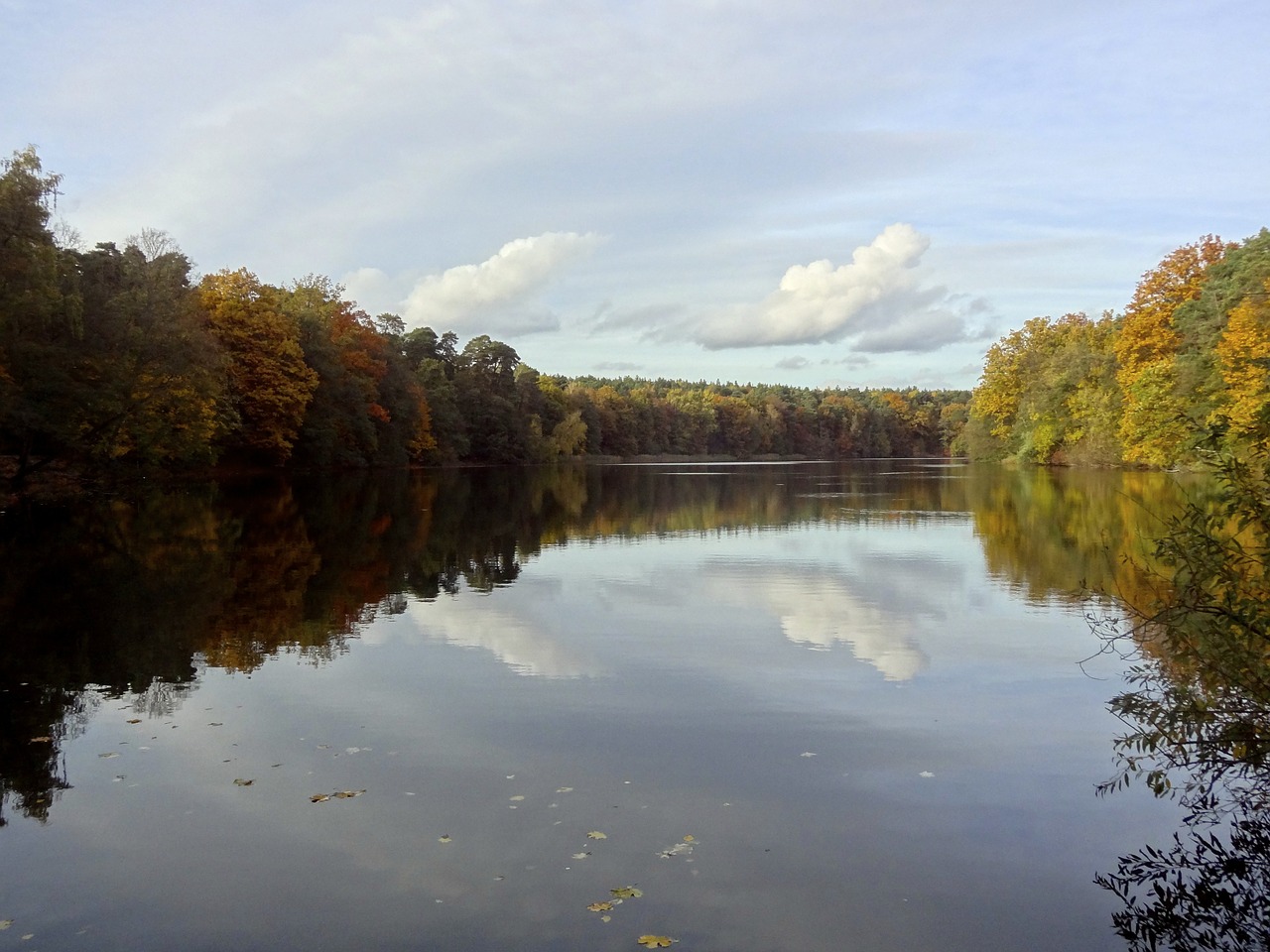 lake krumme lanke autumn free photo