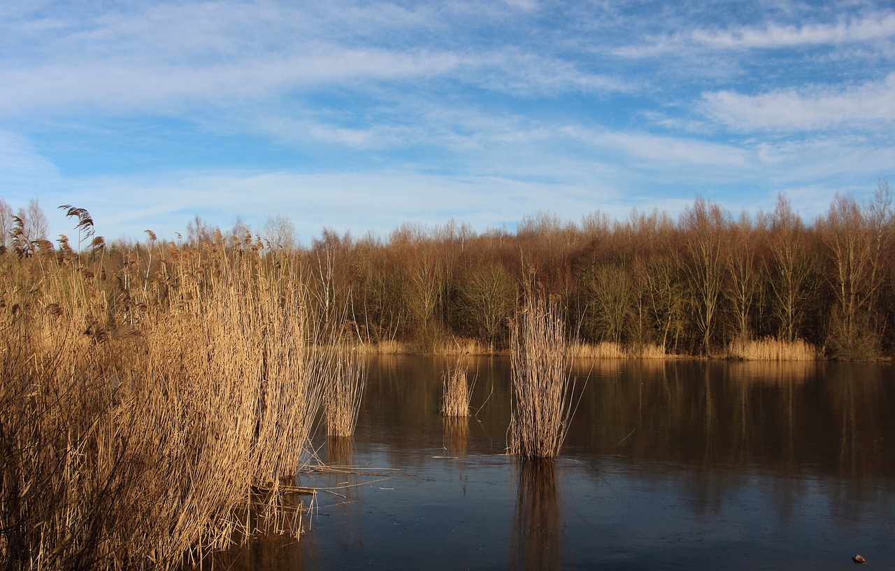 lake frozen winter free photo