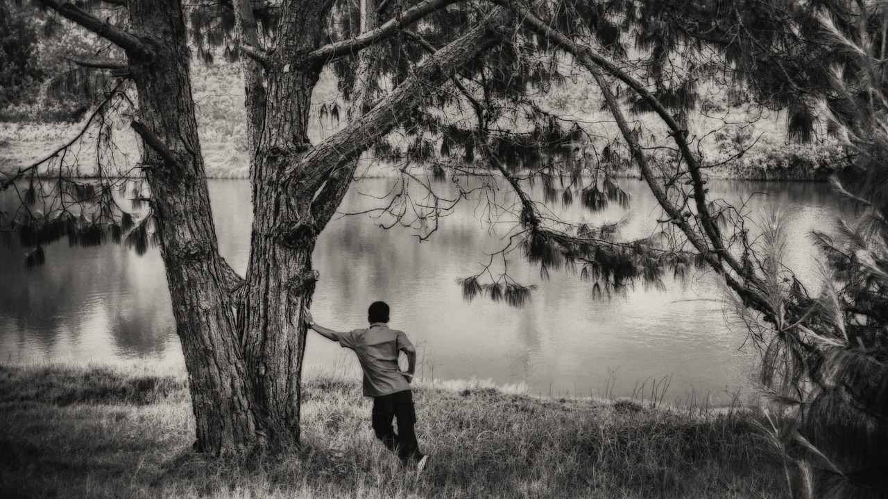 lake lonely black and white free photo