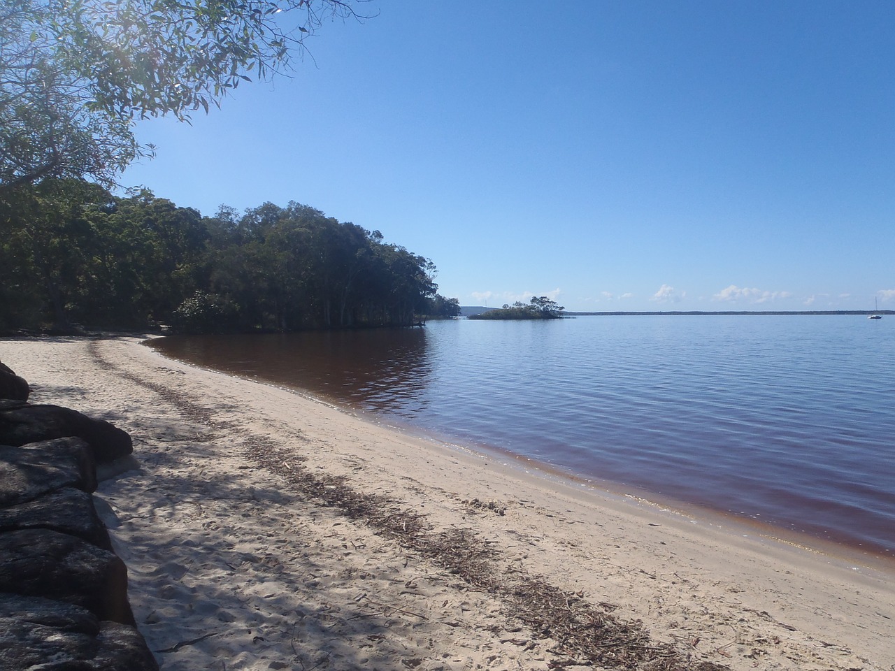 lake beach bank free photo