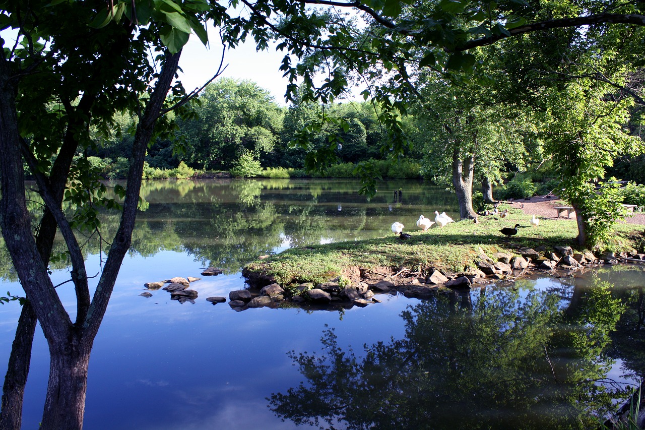 lake tranquil peace free photo