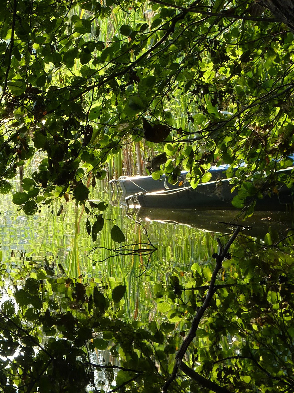 lake brandenburg w free photo