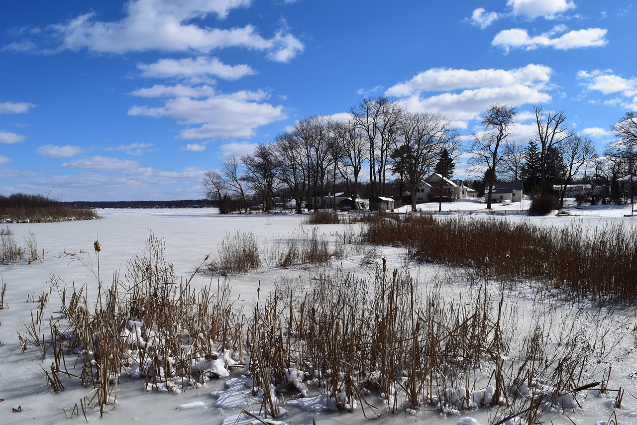 lake snow winter free photo