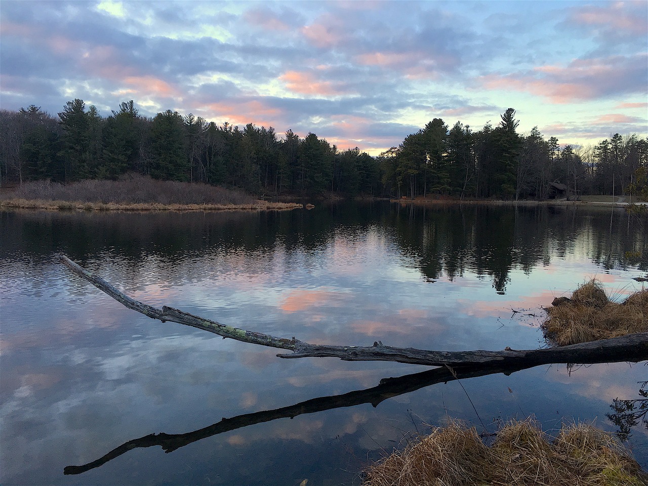 lake branch sunset free photo