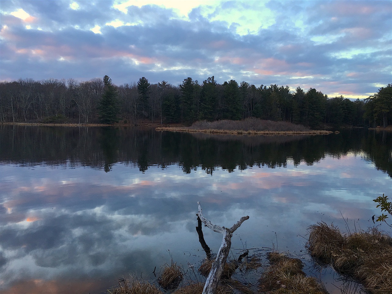 lake branch sunset free photo