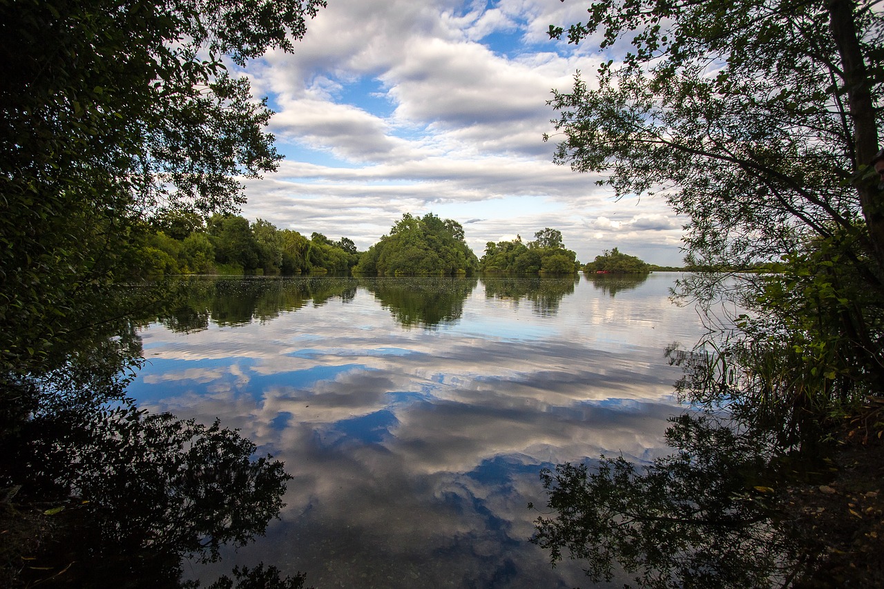 lake trees water free photo