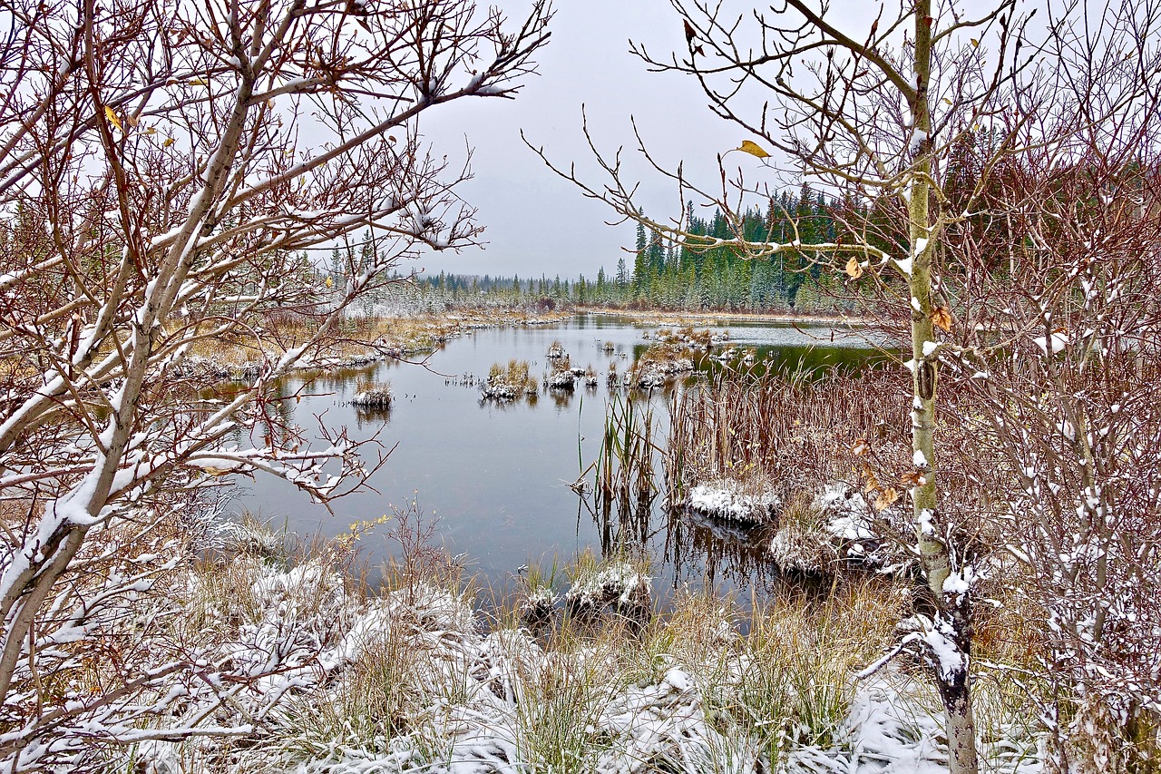 lake cold snow free photo