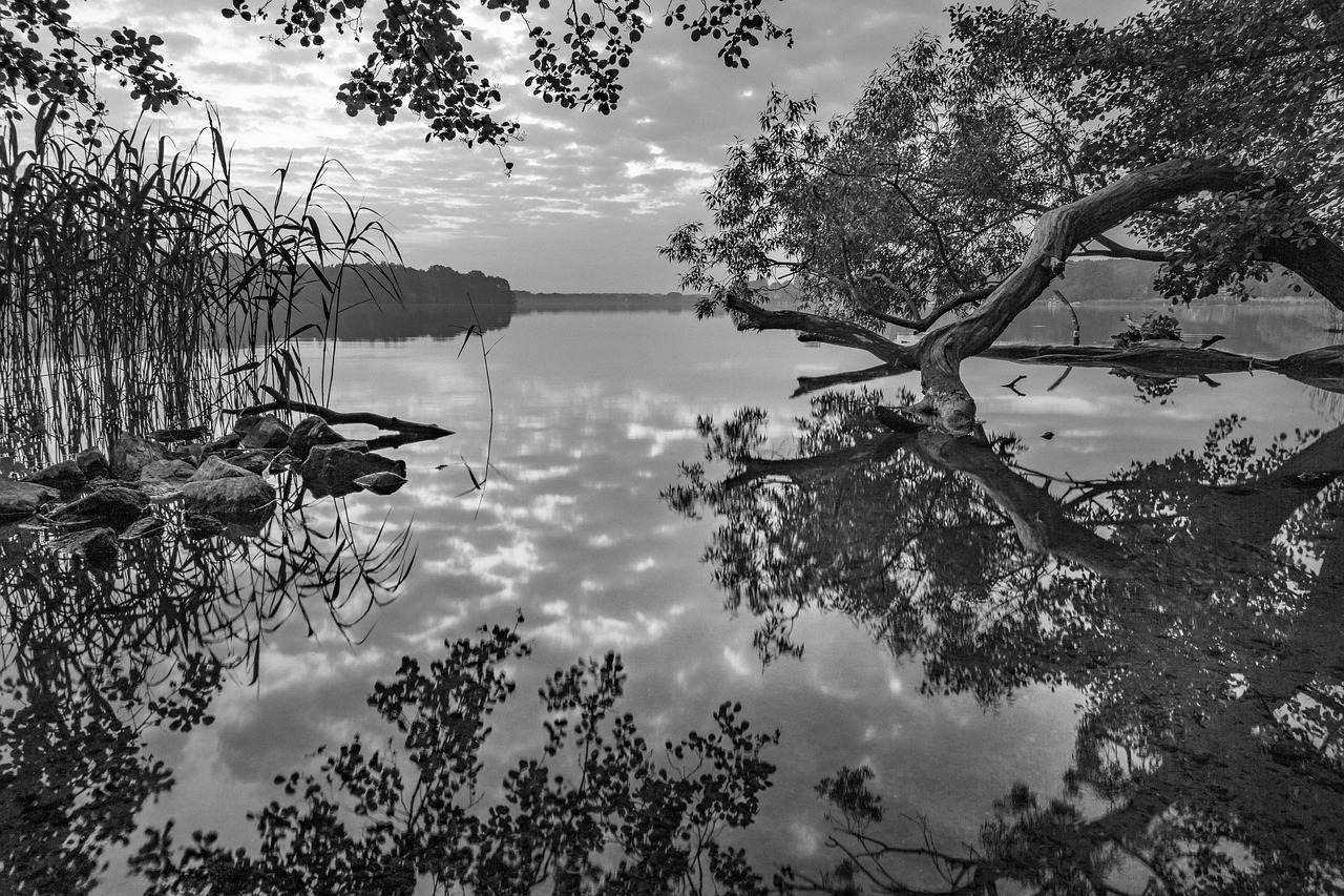 lake idyll idyllic free photo