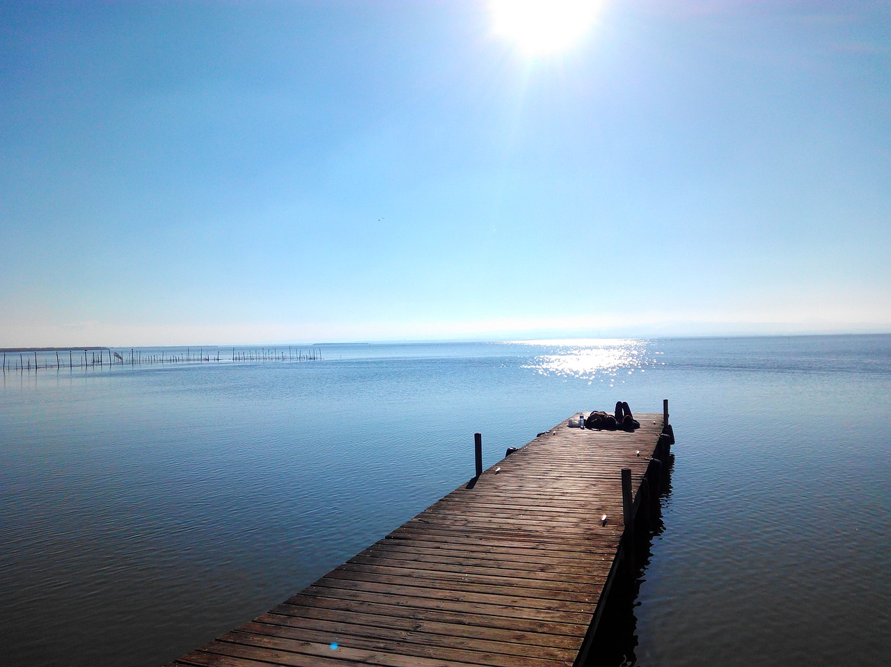 lake albufera valencia free photo