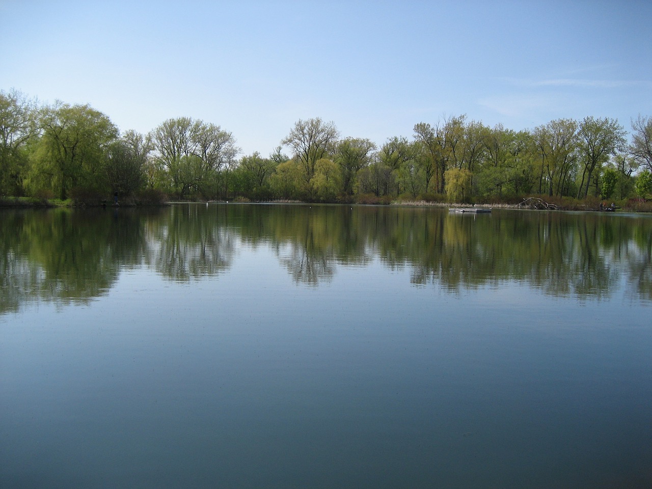 lake trees reflection free photo