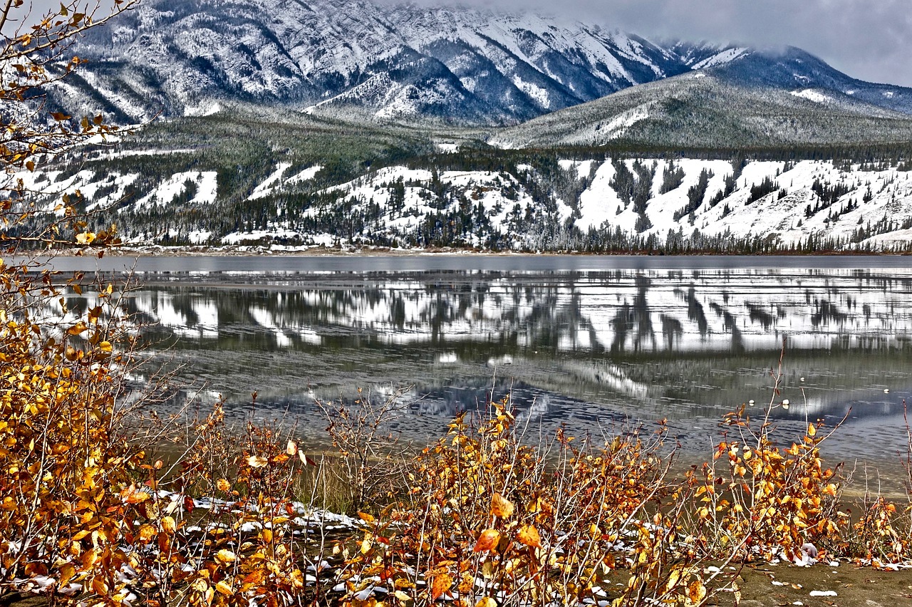 lake wilderness reflection free photo