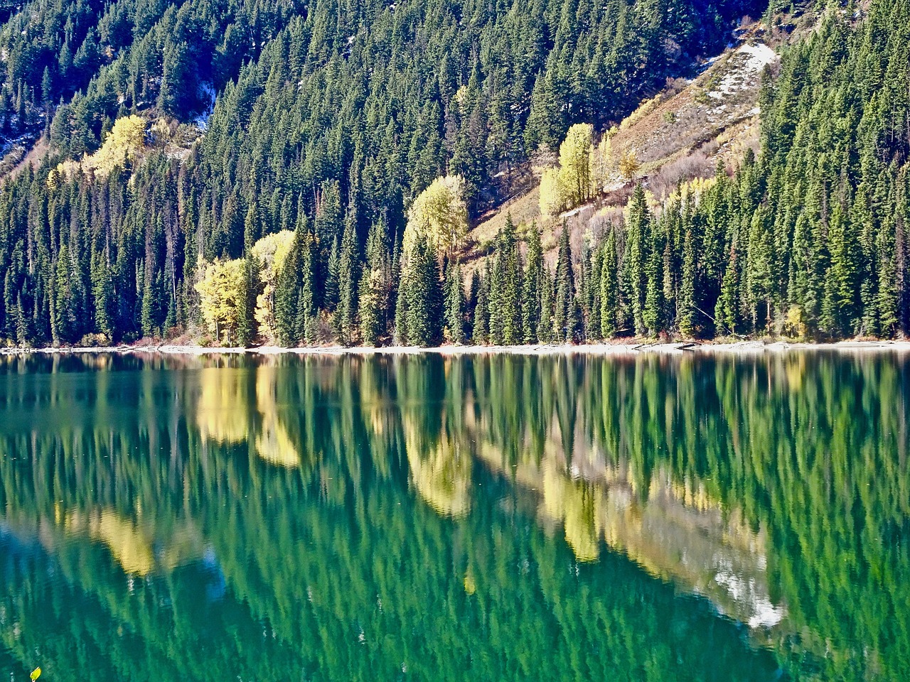 lake reflection calm free photo