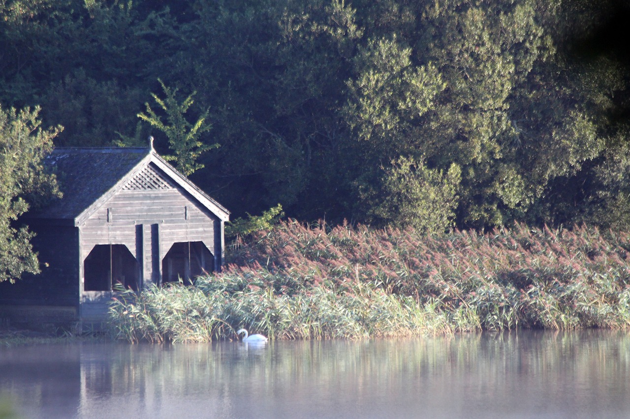 lake boathouse water free photo