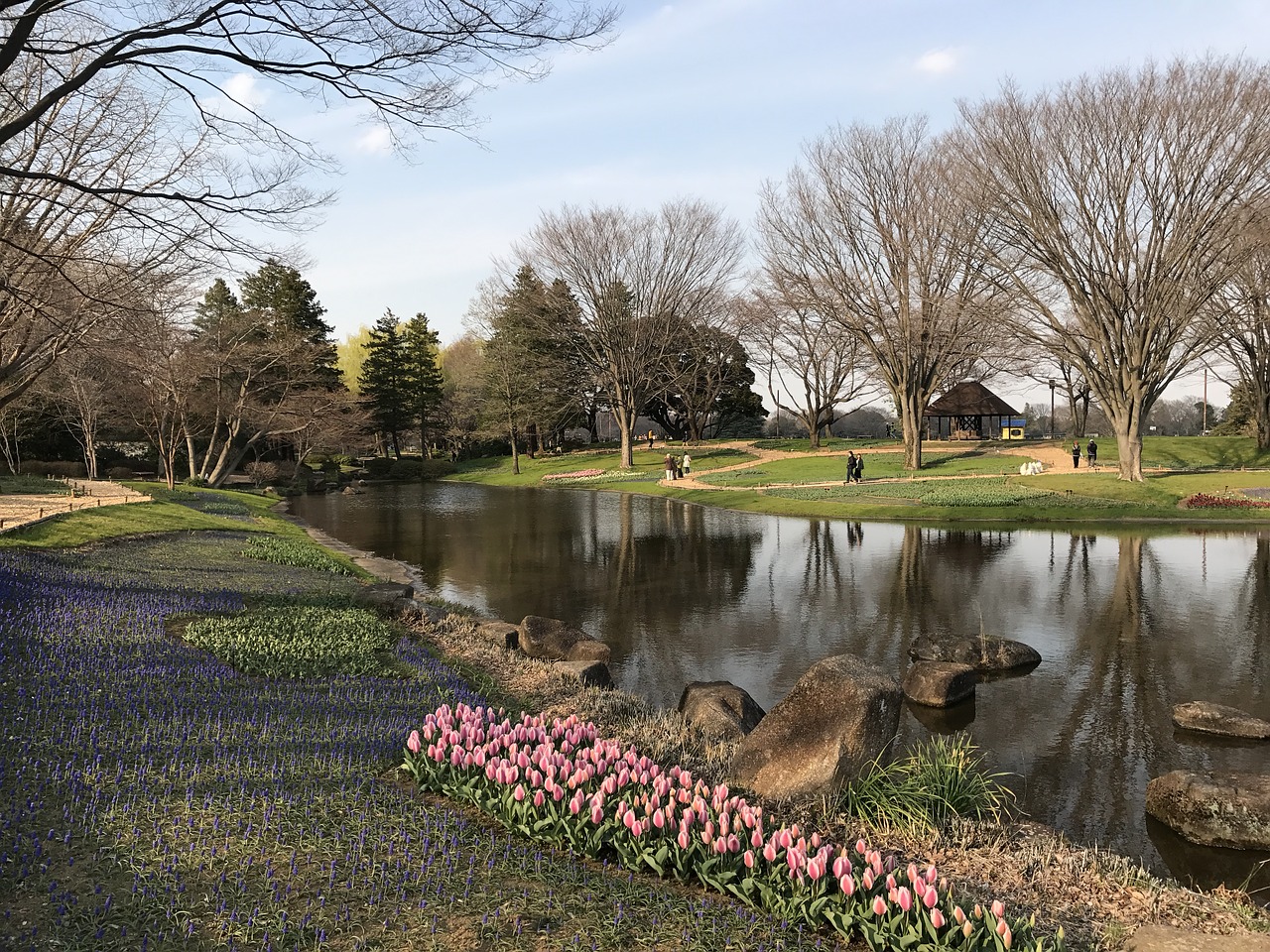 lake spring the scenery free photo