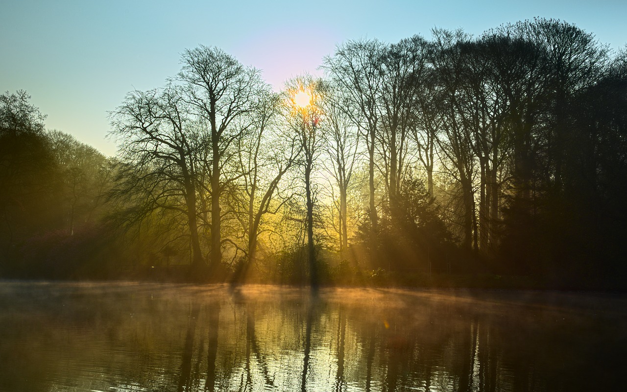 lake fog light free photo