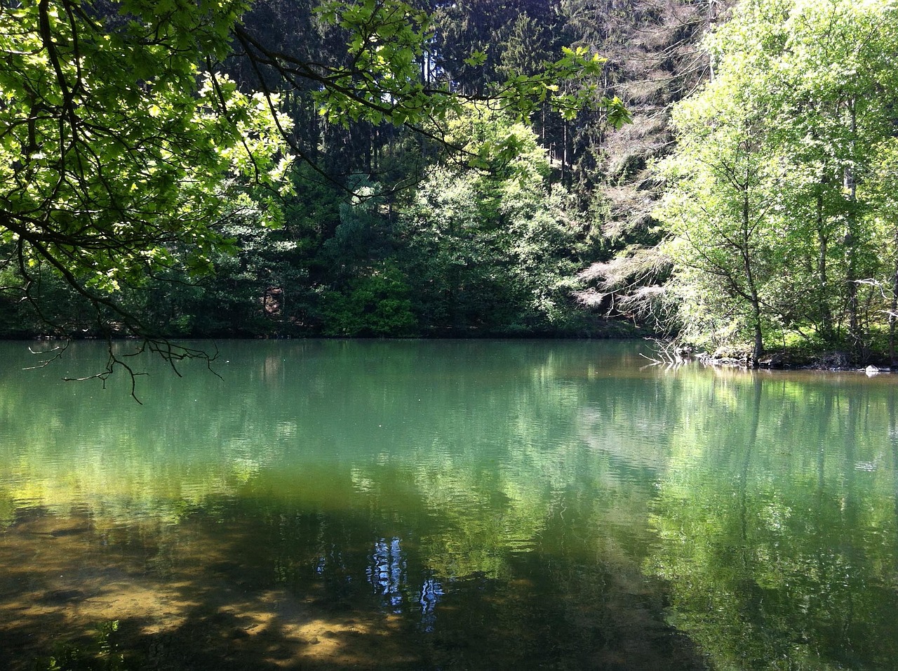 lake water green free photo