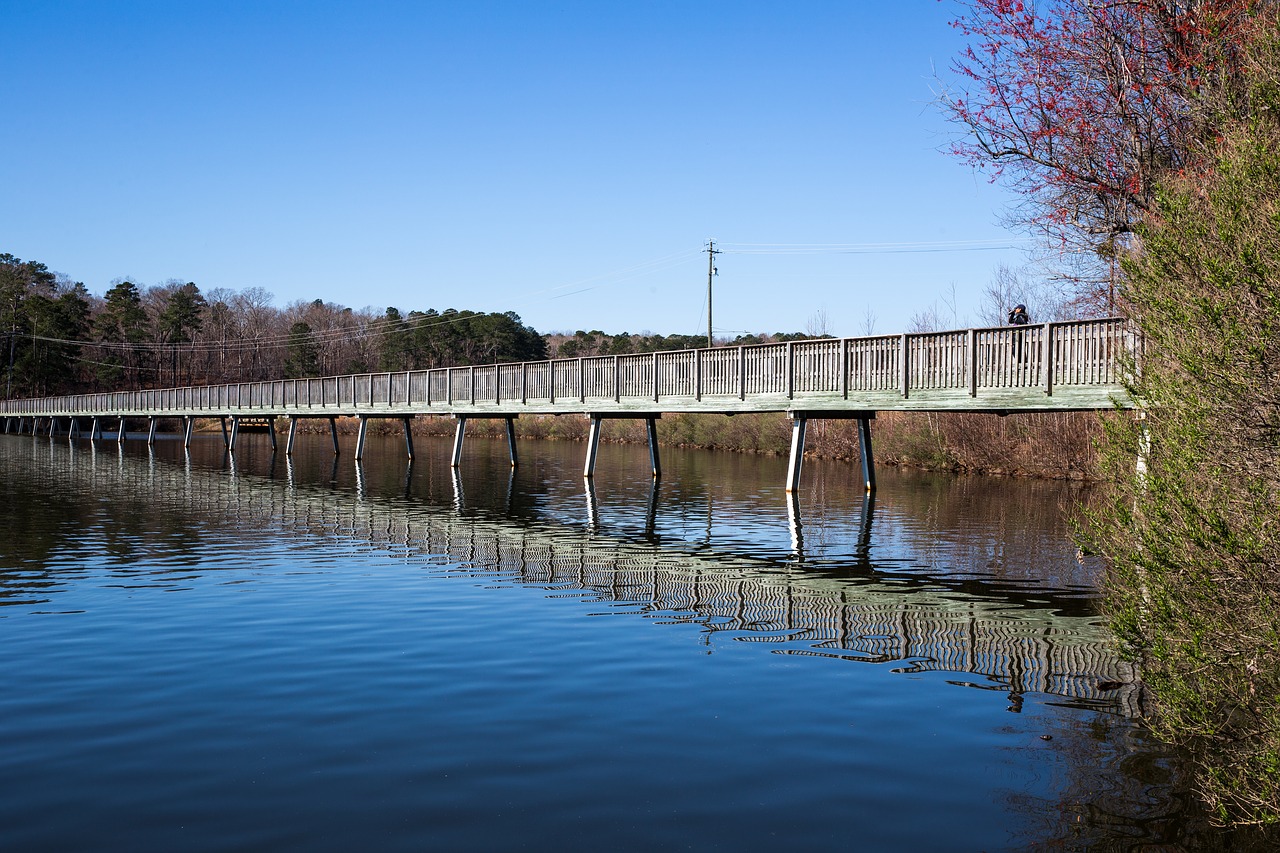 lake reflection water free photo