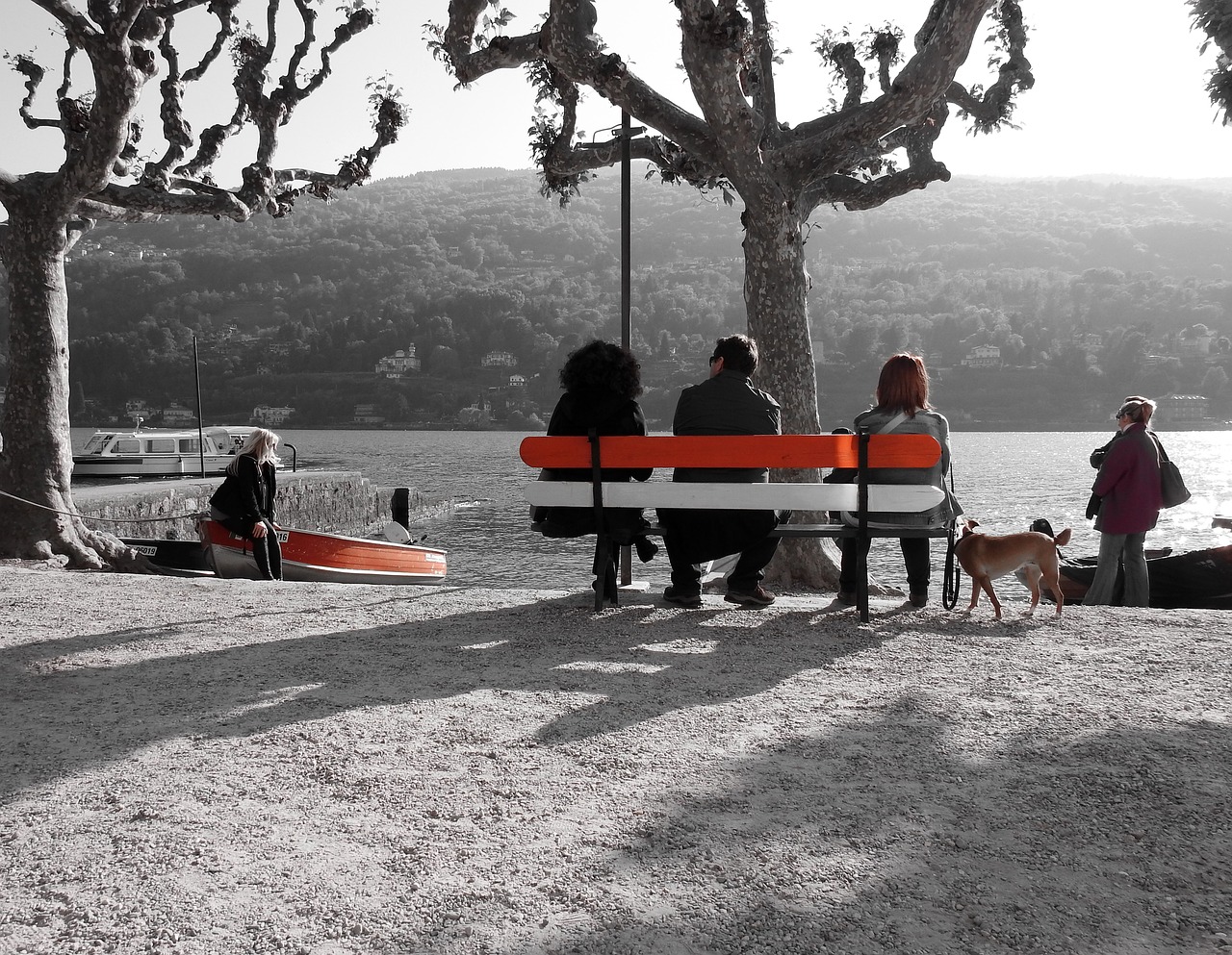 lake bench lake front free photo