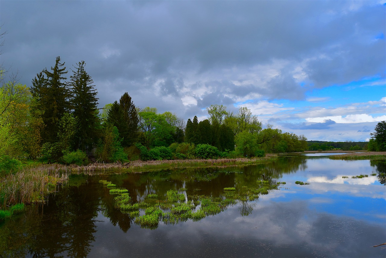 lake trees sky free photo