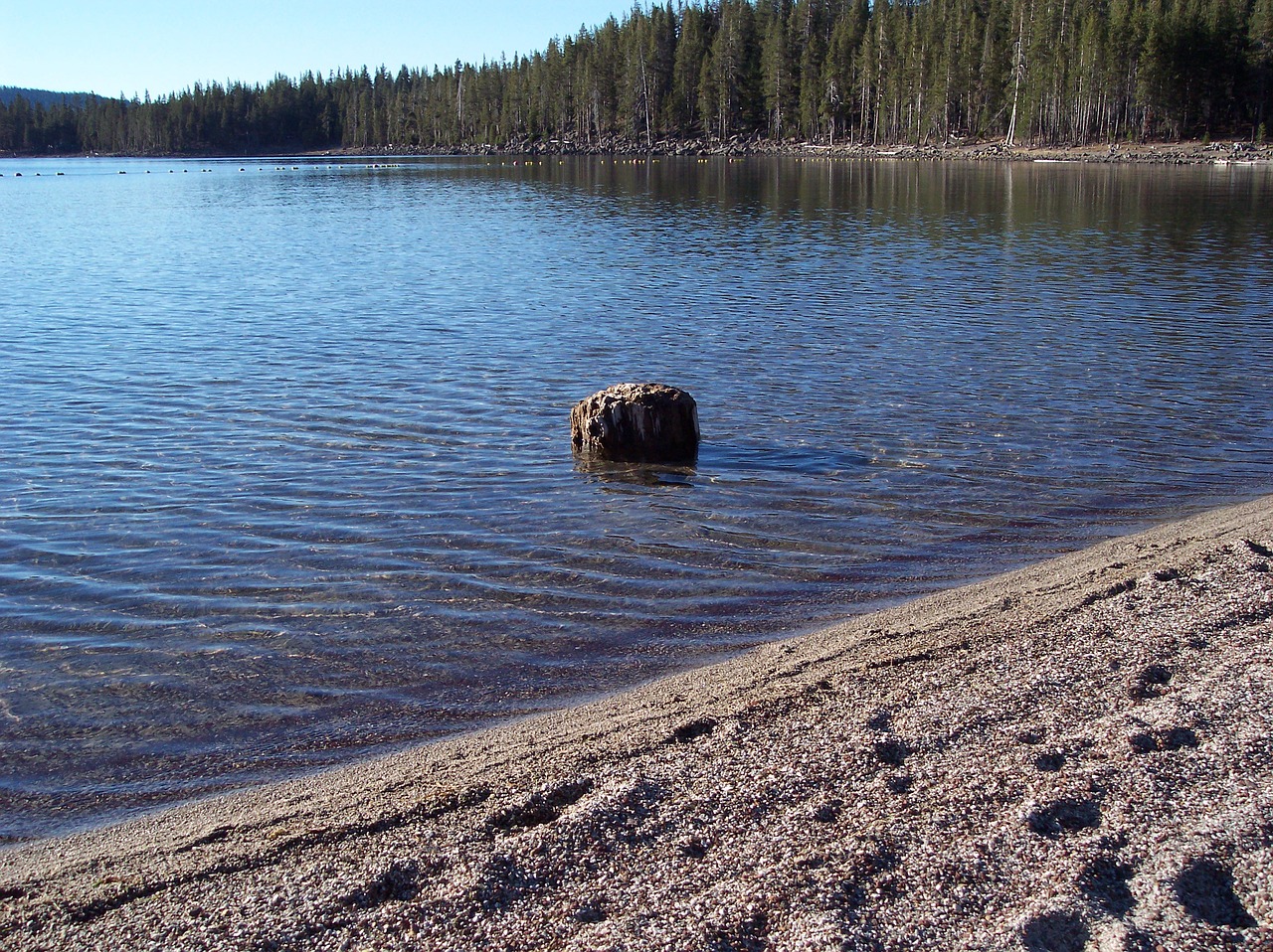 lake peaceful healing free photo