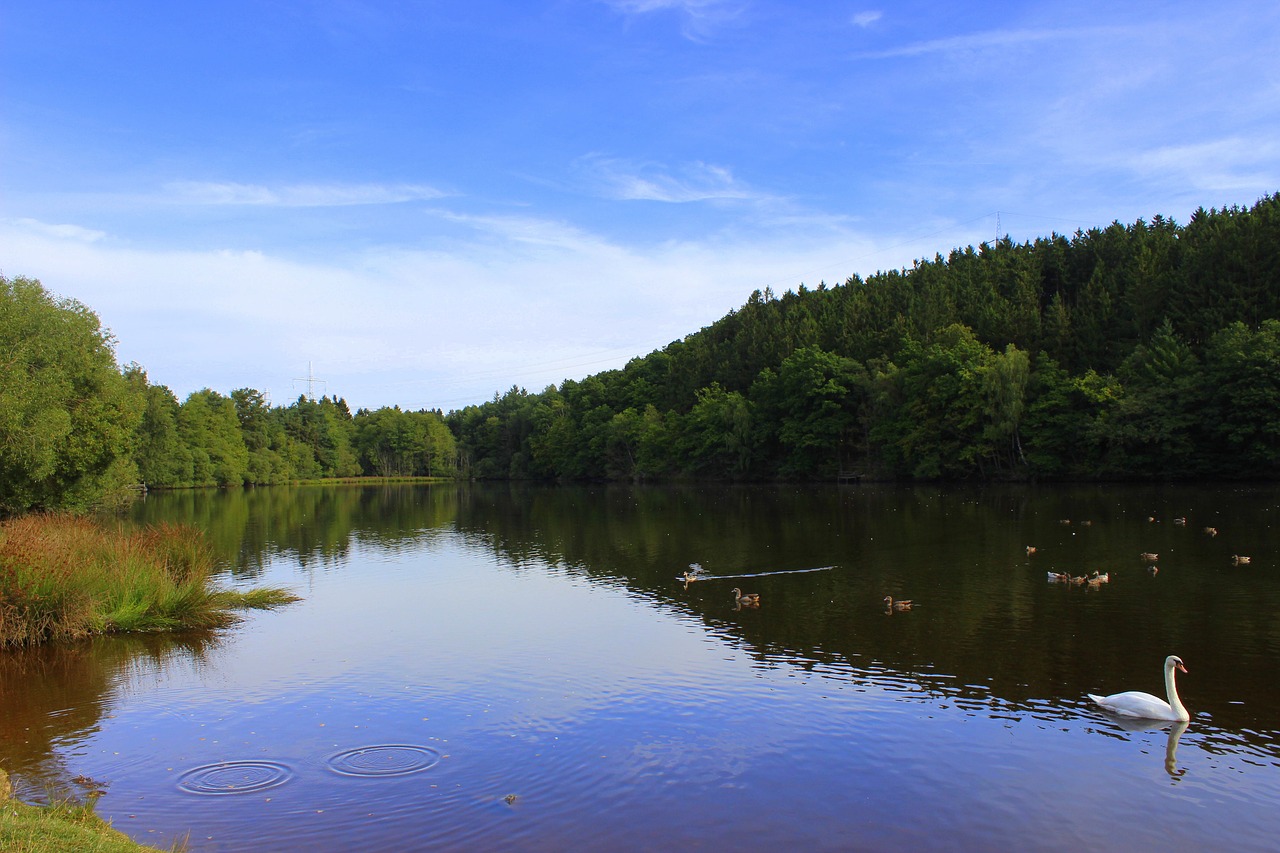 lake landscape nature free photo