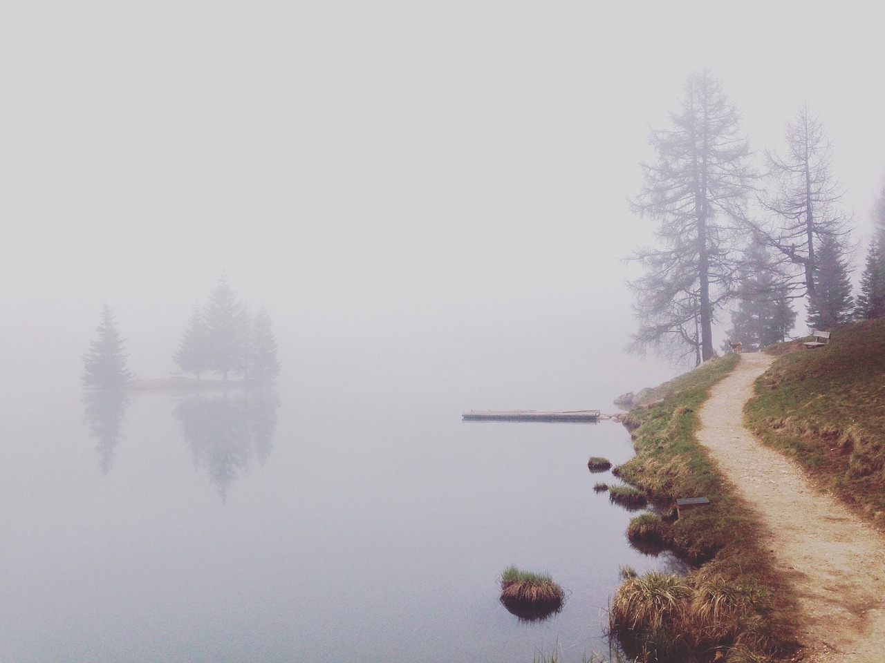 lake fog morning free photo