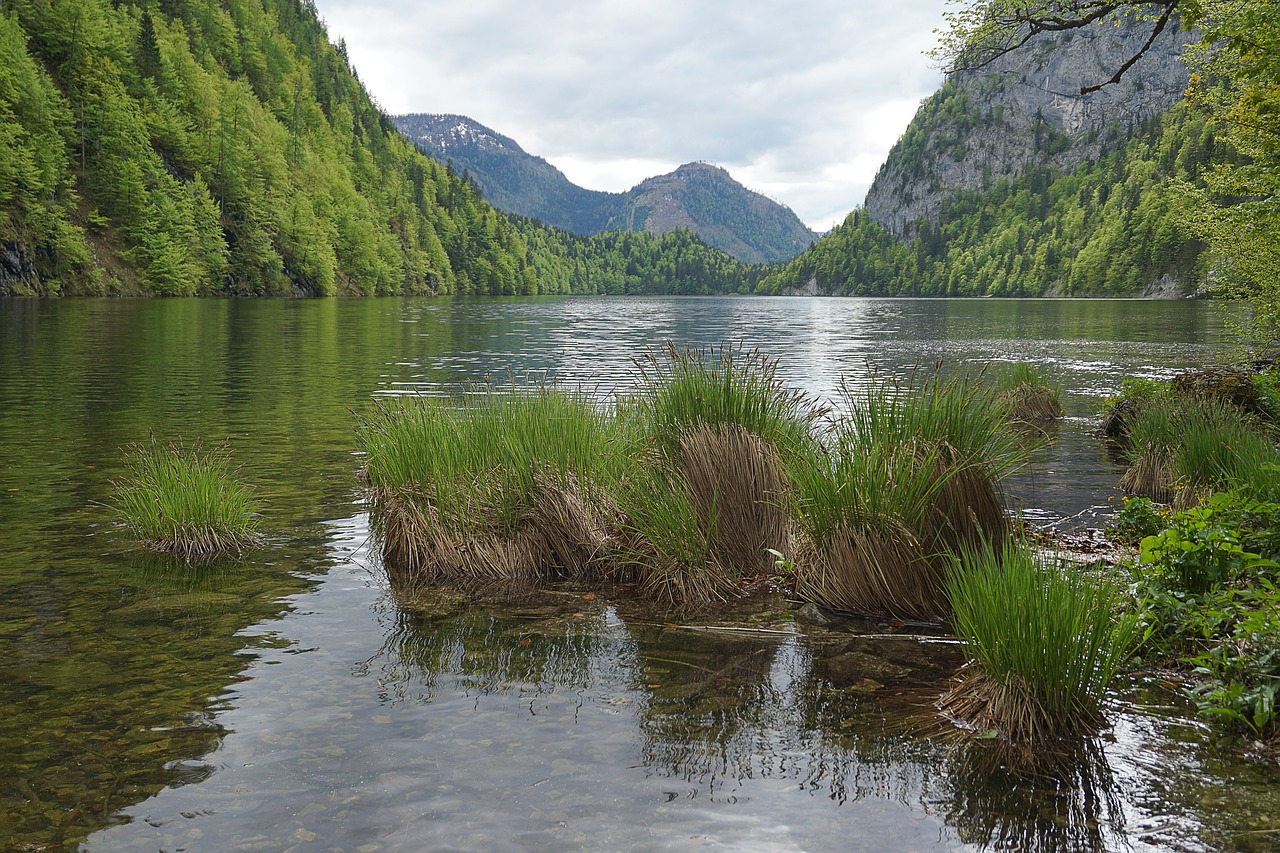 lake pond mountains free photo