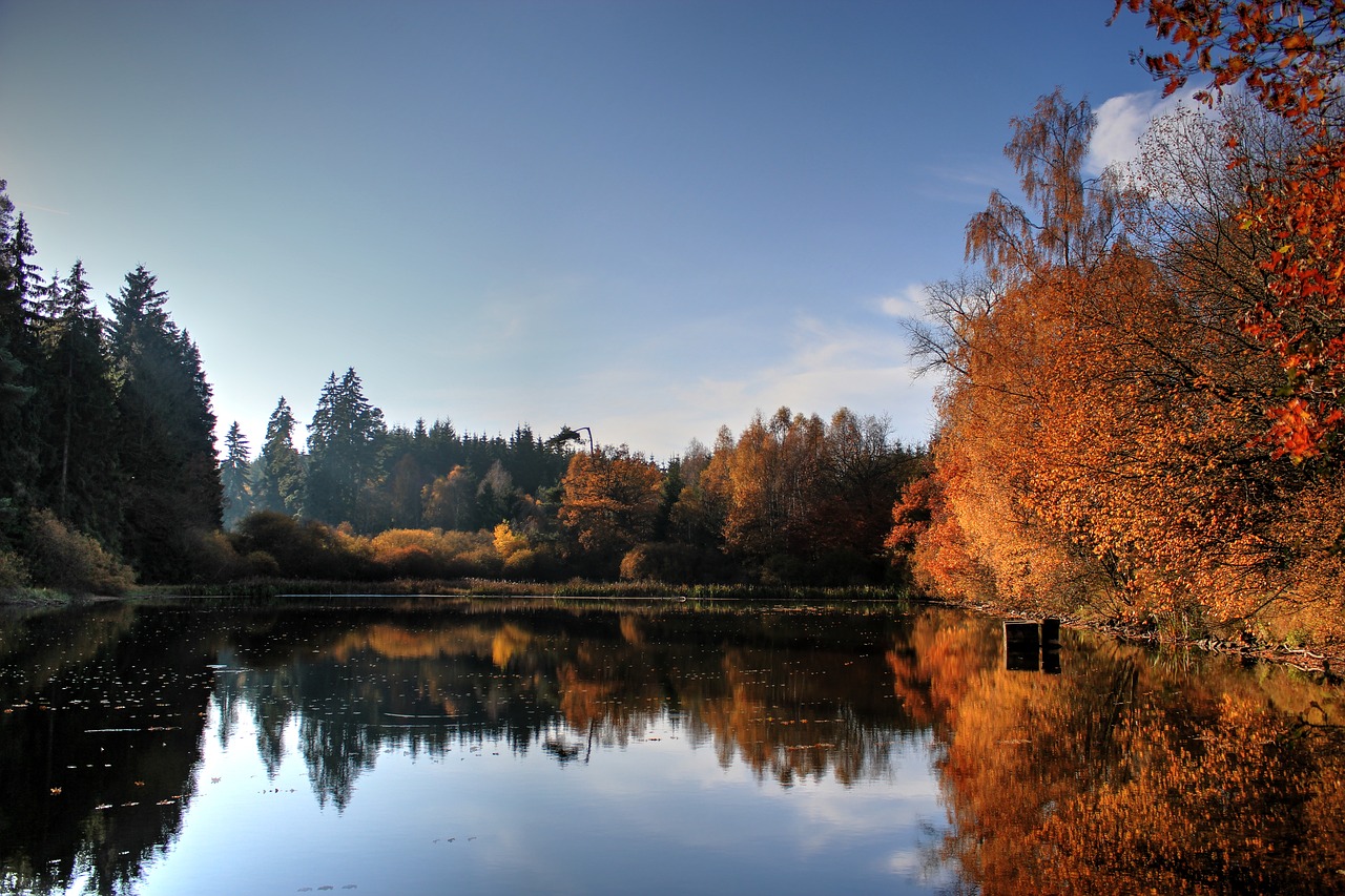 lake waldsee water free photo