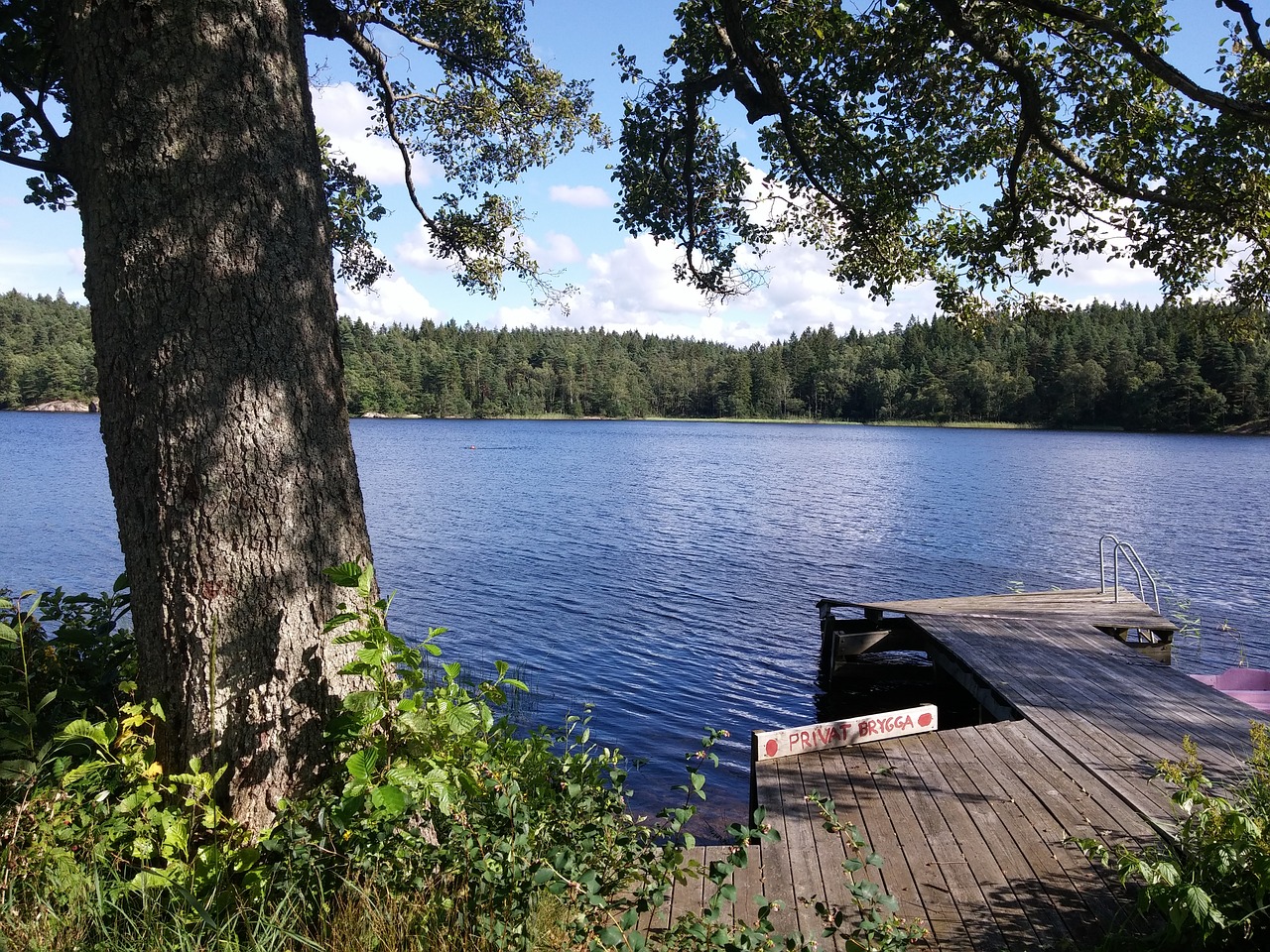 lake sweden jetty free photo