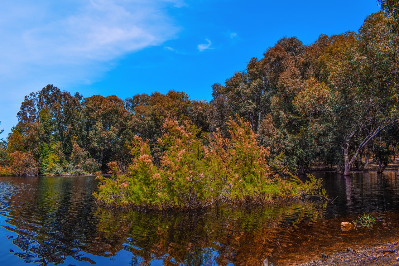 lake forest park free photo